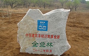 中国建筑基础设施事业部