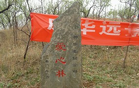 神华集团公司