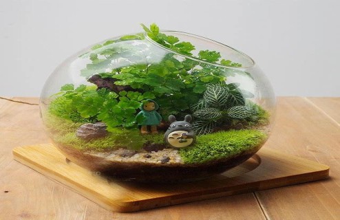 微景观DIY