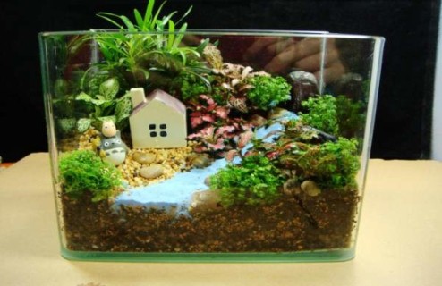 微景观DIY