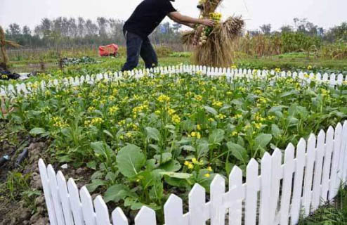 农耕体验+踏青植树