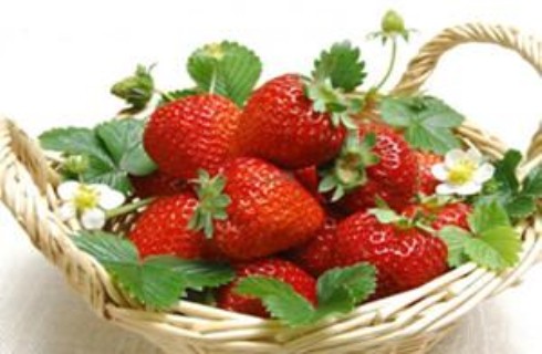 采摘有机草莓+特色午餐+踏青植树