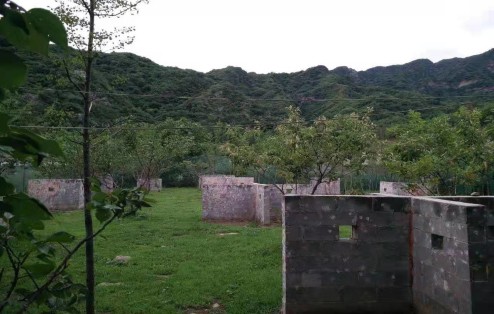 踏青植树+真人CS