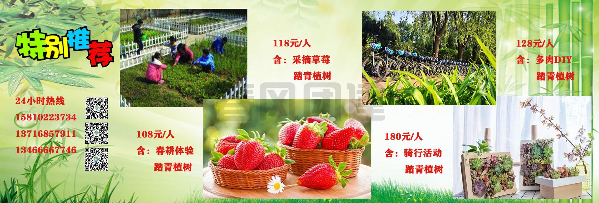 植树
