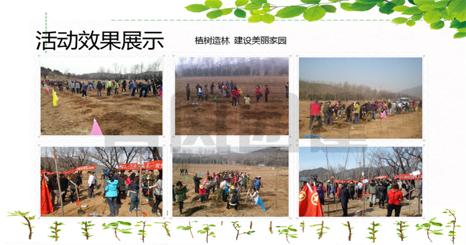 fc0a0dce53cf96ceed9510a04b872729.png